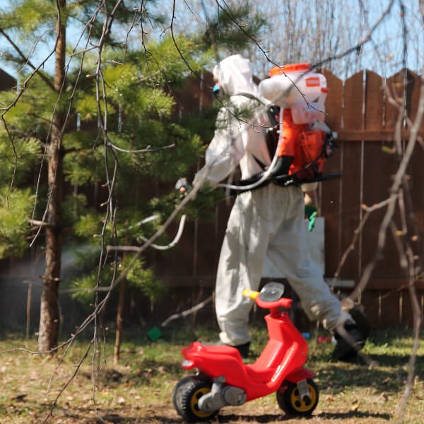 Обработка участка от клещей в Новокузнецке?